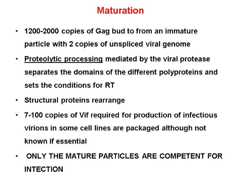 Maturation 1200-2000 copies of Gag bud to from an immature particle with 2 copies